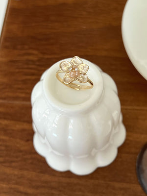 Nayeli Rings